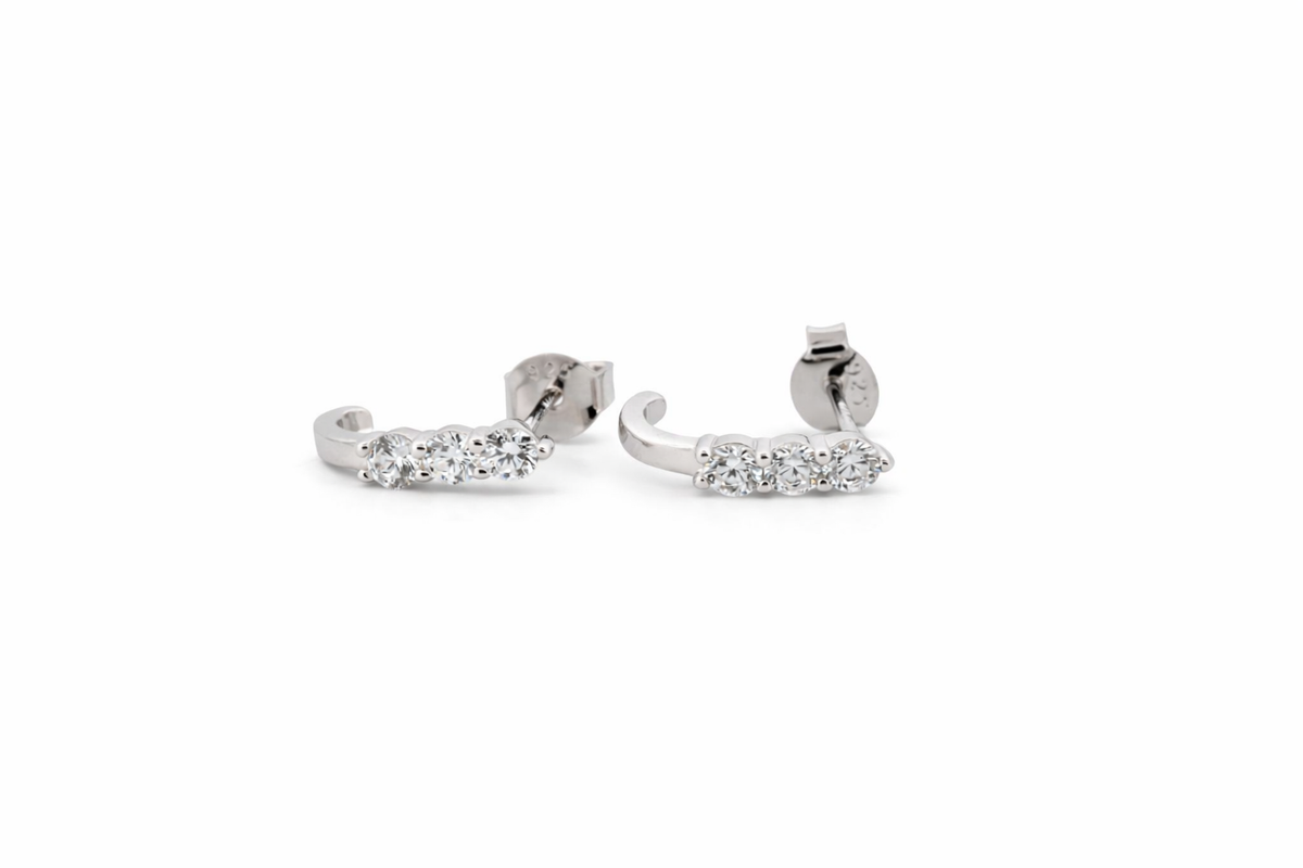 Silver örhänge SE18743B