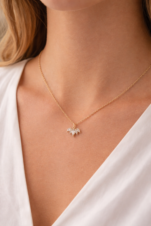 Aileron halsband