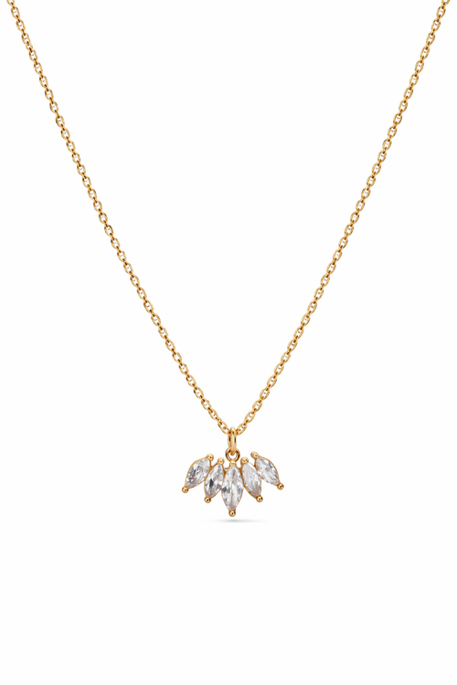 Aileron halsband